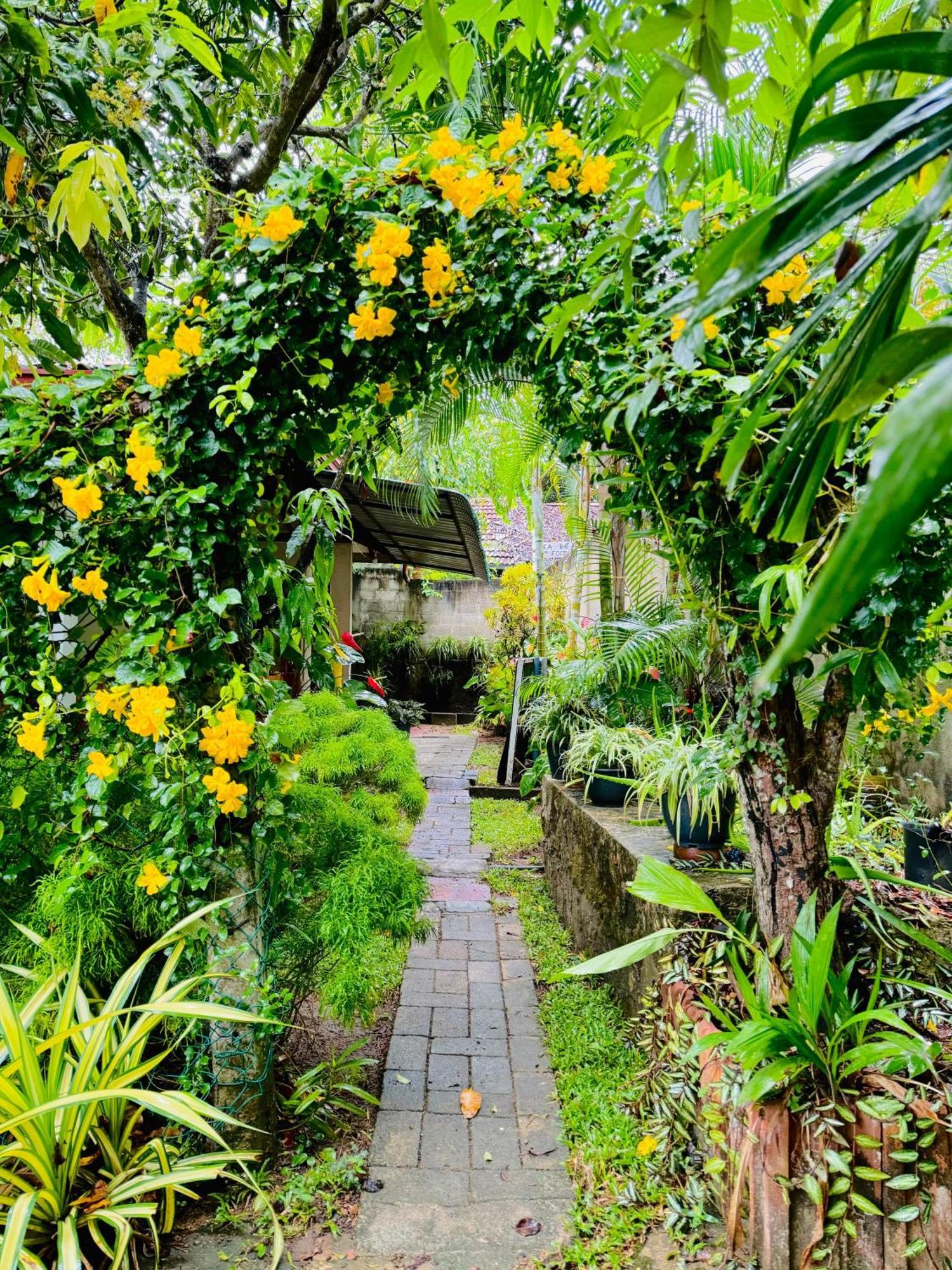 Nethmi Homestay & Restaurant Tangalle Εξωτερικό φωτογραφία