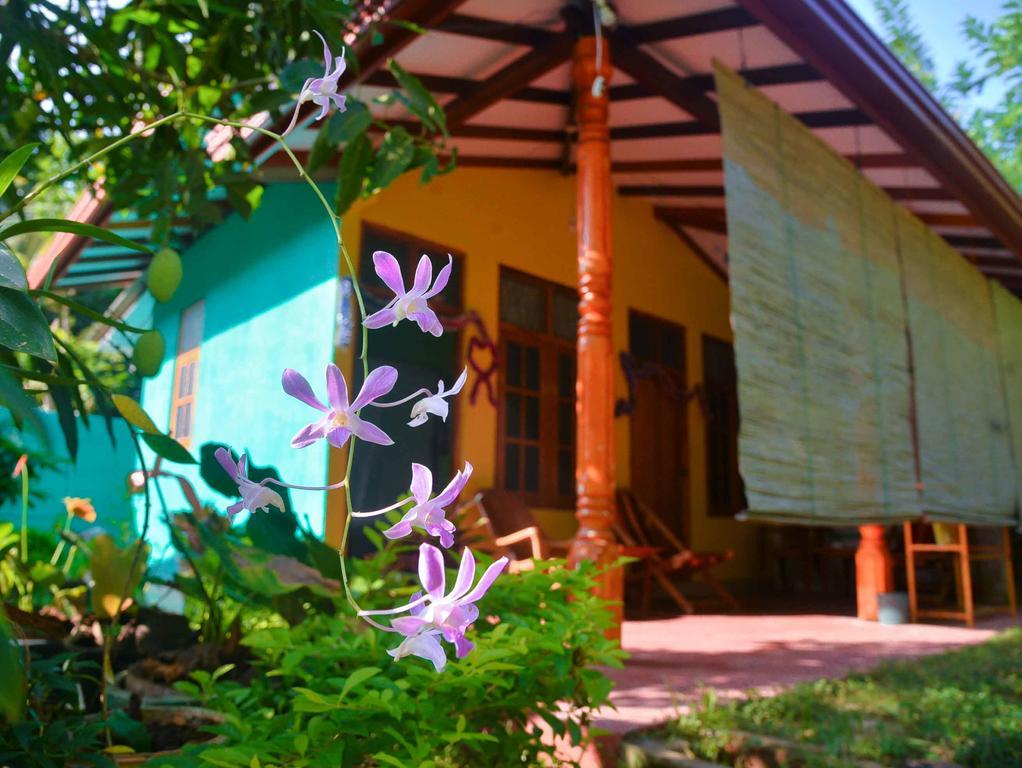 Nethmi Homestay & Restaurant Tangalle Εξωτερικό φωτογραφία