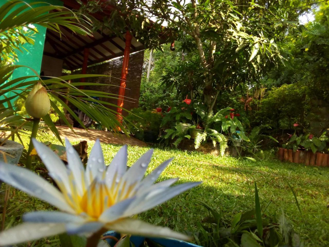 Nethmi Homestay & Restaurant Tangalle Εξωτερικό φωτογραφία